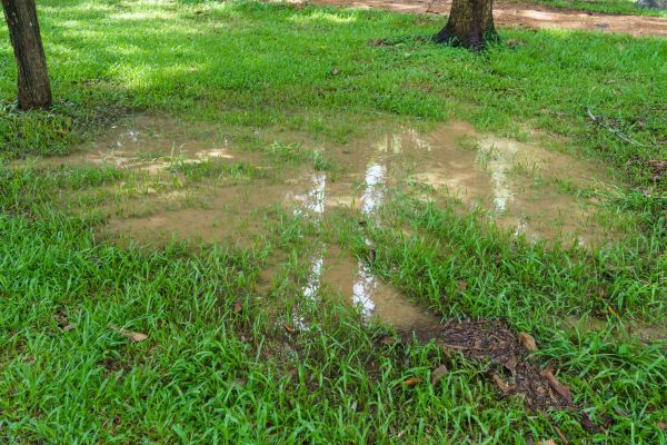 Storm Water Drainage Service in Madison