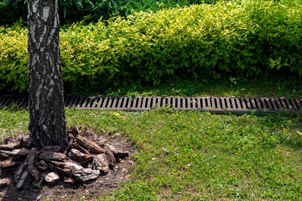 Cost of Yard Water Redirection in Madison