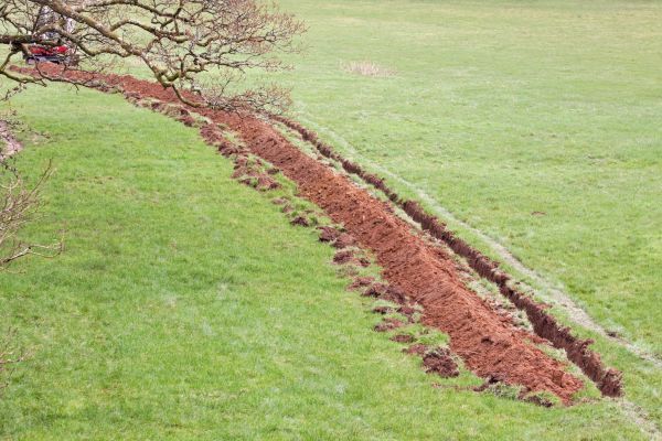Cost of Swale Installation in Madison