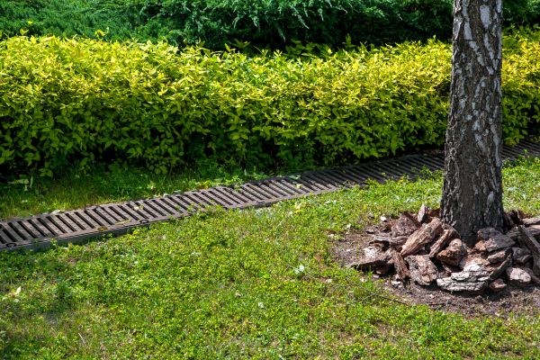 Residential Landscape Drainage in Madison