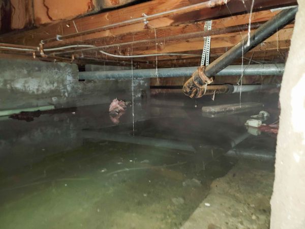 Cost of Crawlspace Drainage in Madison