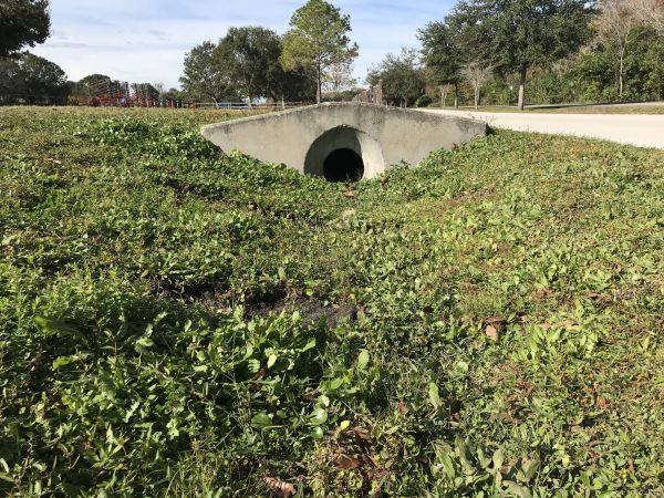 Cost of Swale Drainage Service in Madison